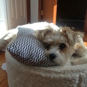 Meet your Posher, Jackie